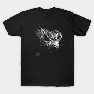 Chameleon T-Shirt